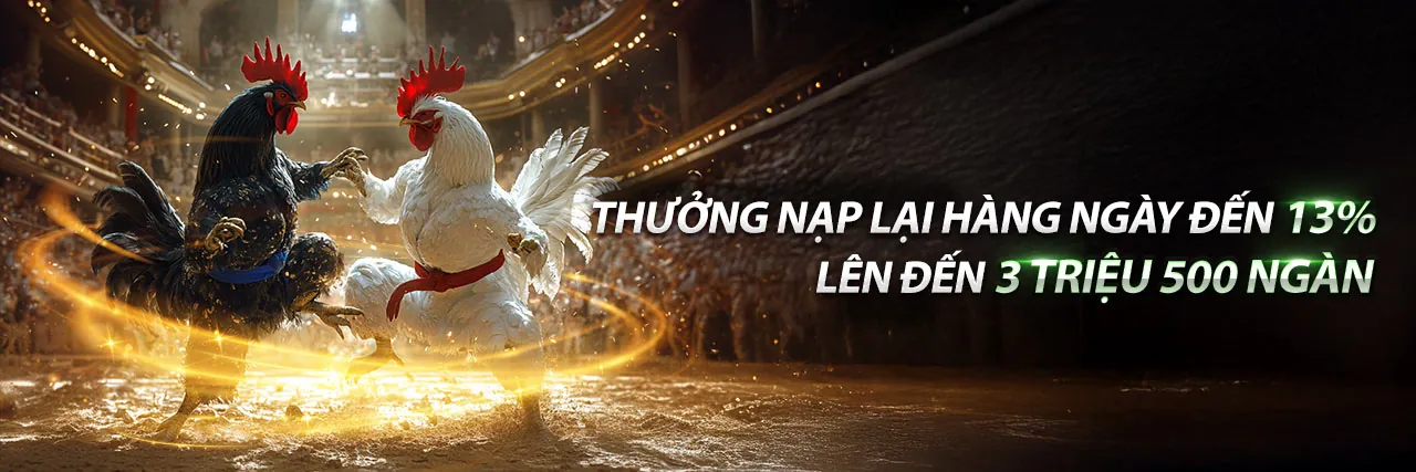 Hình ảnh đại diện cho Điều Khoản và Điều Kiện của xi88 trang chủ